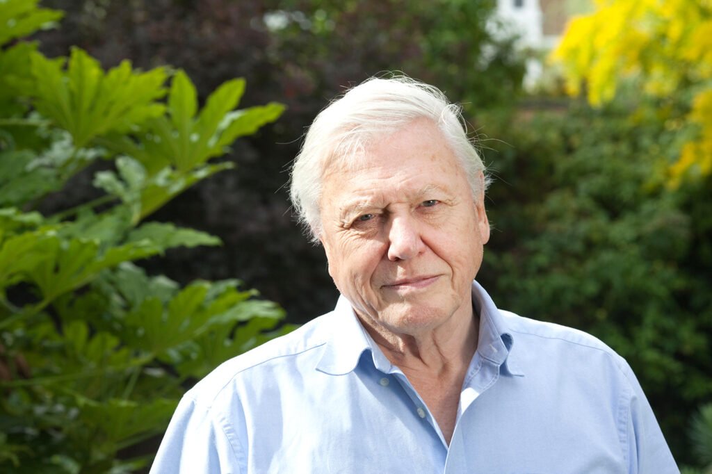 david attenborough