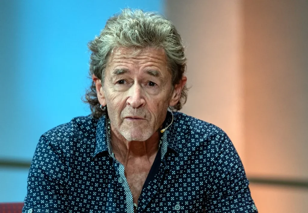 vermögen peter maffay